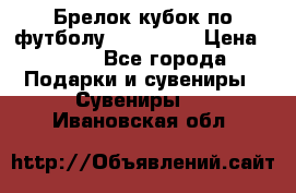 Брелок кубок по футболу Fifa 2018 › Цена ­ 399 - Все города Подарки и сувениры » Сувениры   . Ивановская обл.